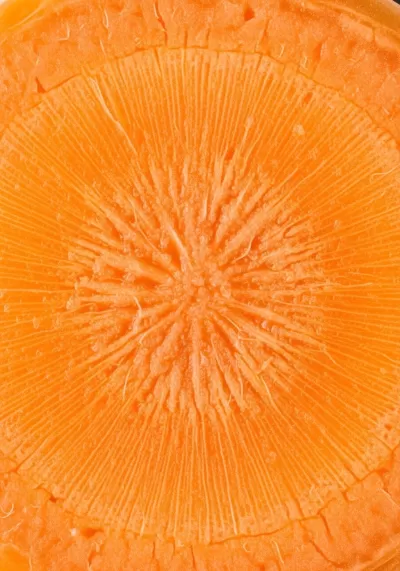 Imagen PNG para descargar